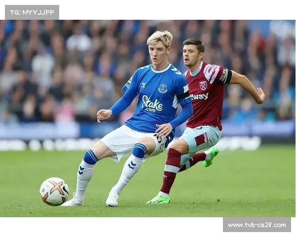 布莱顿力争连胜 曹尔策勒强调稳定性是关键