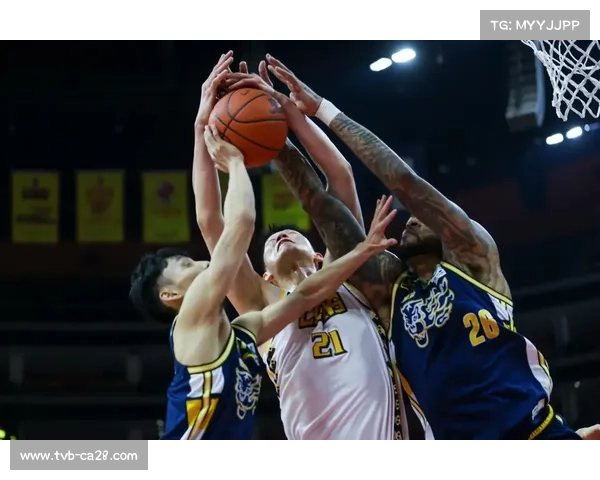 浙江双雄常规赛稳步向前，胡金秋成本土得分王